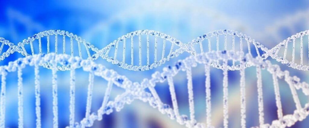 3Hz - 1 theta samozdravljenje Geonizator