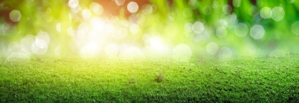 ucinki-teslovih-skalarnih-valov Tesla 1