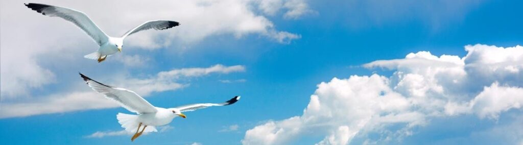 ucinki-teslovih-skalarnih-valov Tesla 4